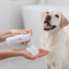 VET EXPERT ATOSIS CARE MOUSSE - szampon w piance do kąpieli na sucho dla psów i kotów ze skórą skłonną do atopii 150 ml