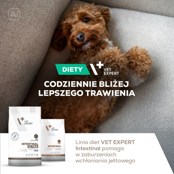 VET EXPERT INTESTINAL ULTRA LOW FAT - sucha karma weterynaryjna dla psów z przewlekłymi chorobami układu trawiennego