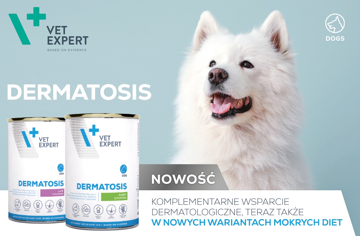 Dermatosis dog