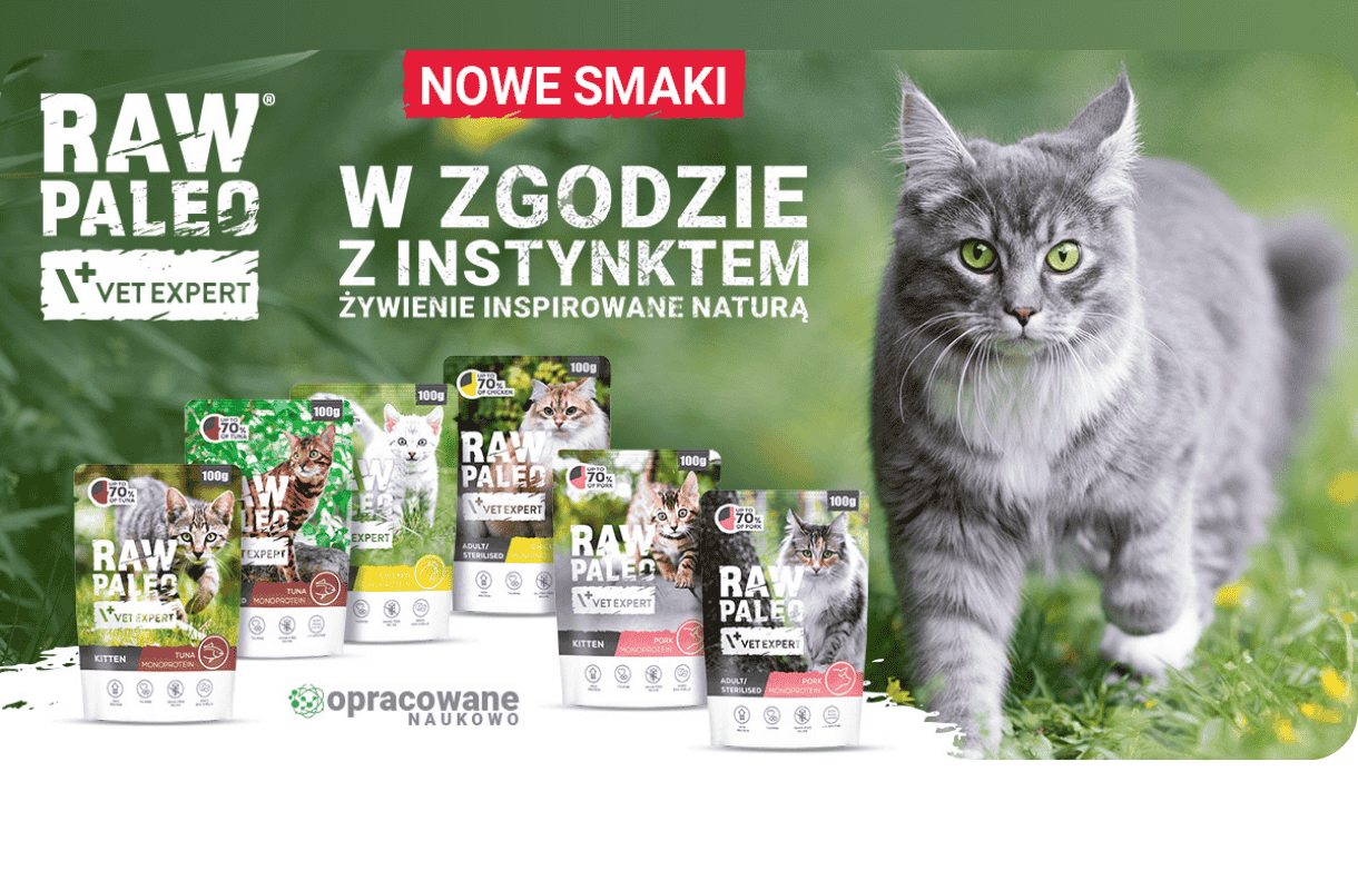 Karma mokra RAW PALEO dla kota - nowe smaki 