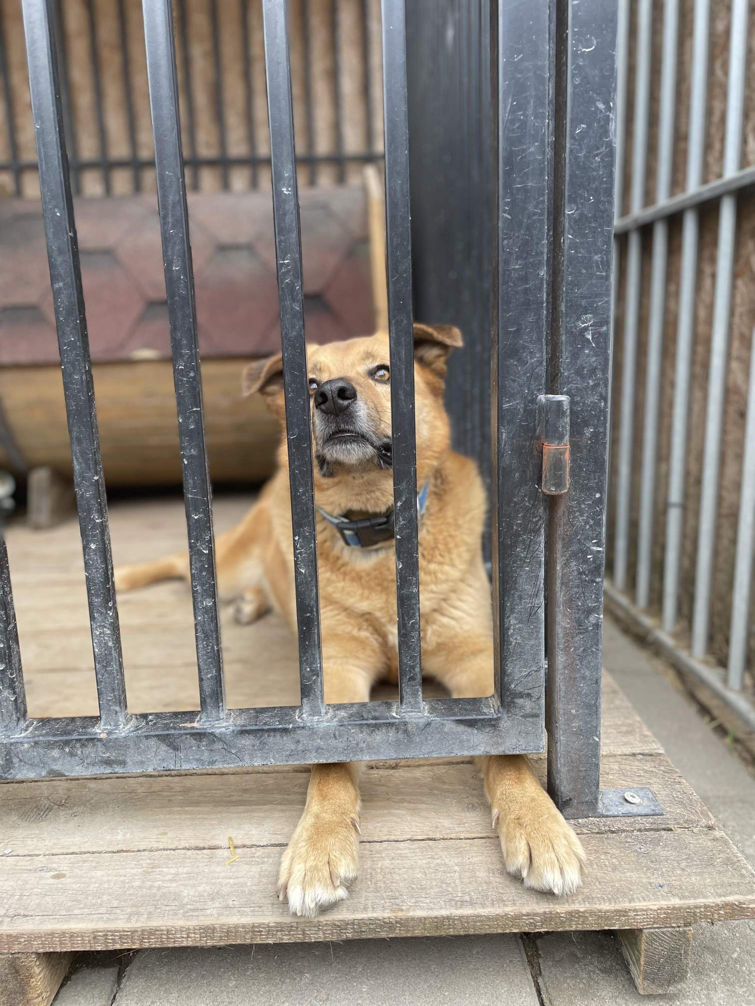 IMG_7077-min (1)_min.jpg