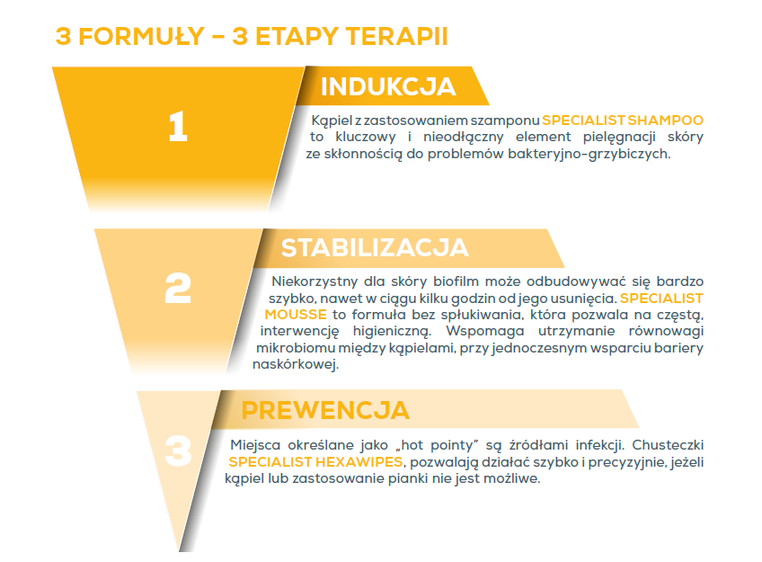 Etapy terapii Specialist