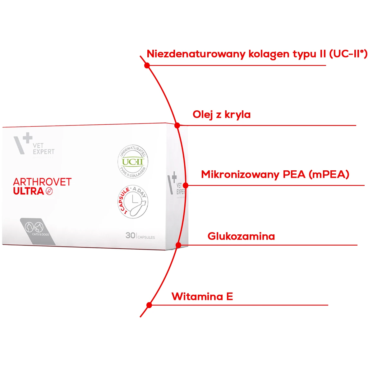 Placeholder - kliknij aby zmienić obrazek