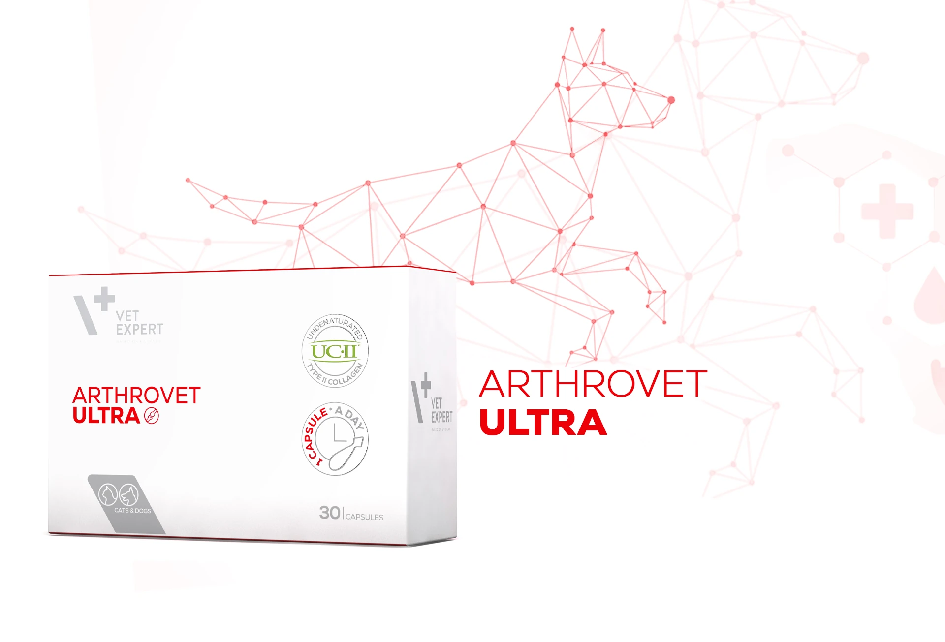 Placeholder showcase - kliknij aby zmienić obrazek