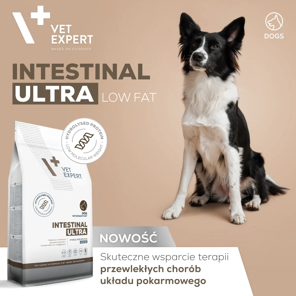 Placeholder - kliknij aby zmienić obrazek