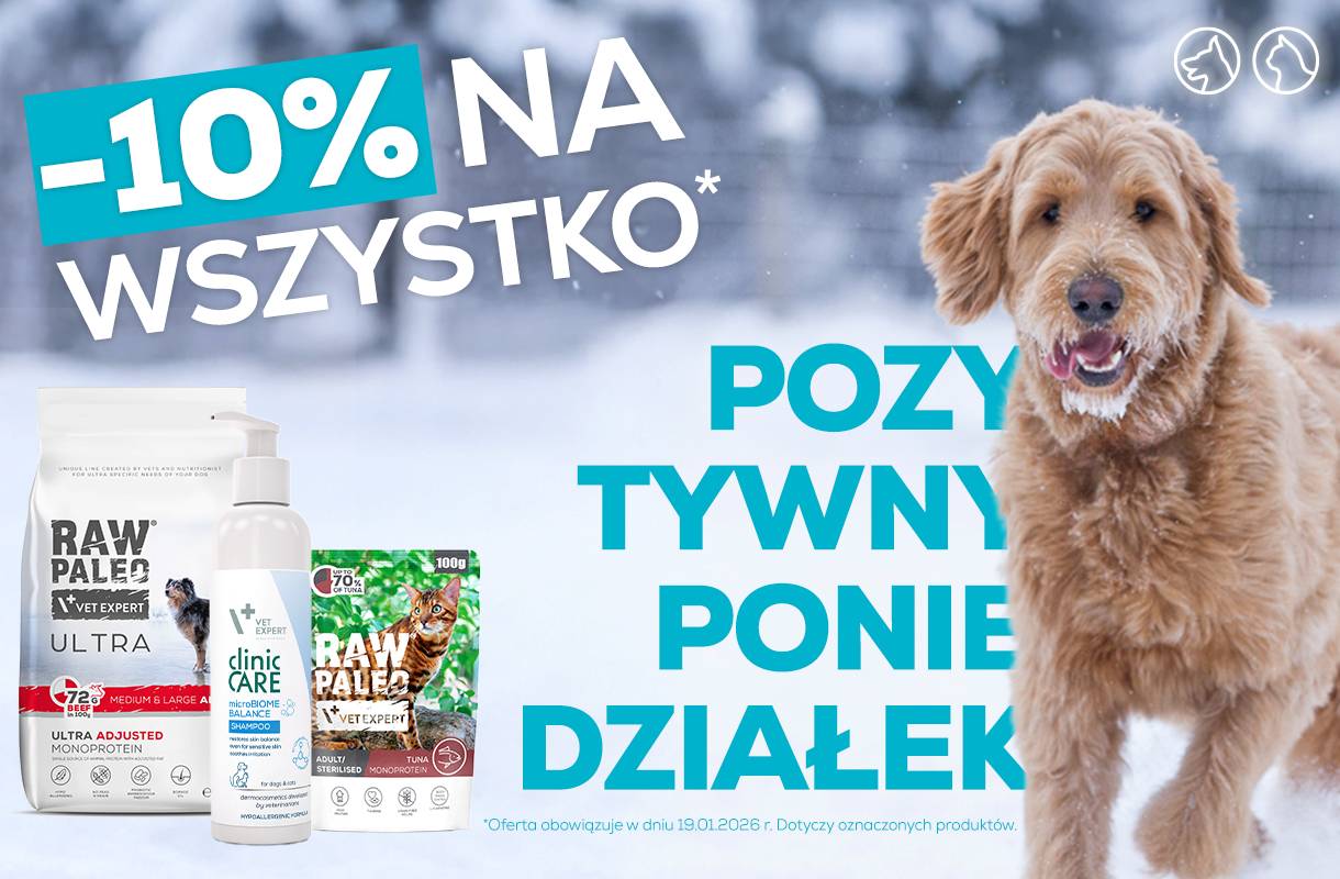 Pozytywny poniedziałek