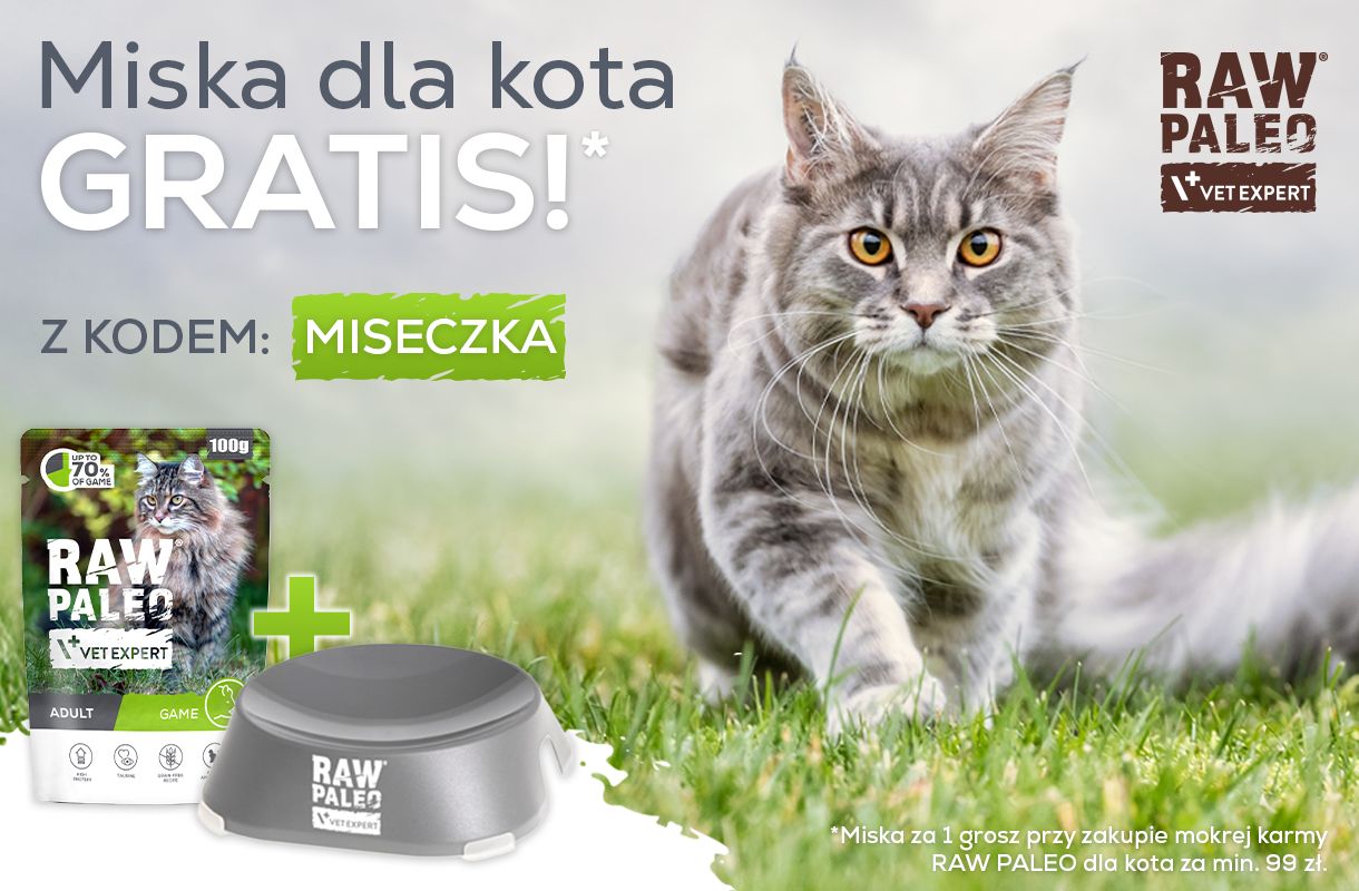 Miska dla kota