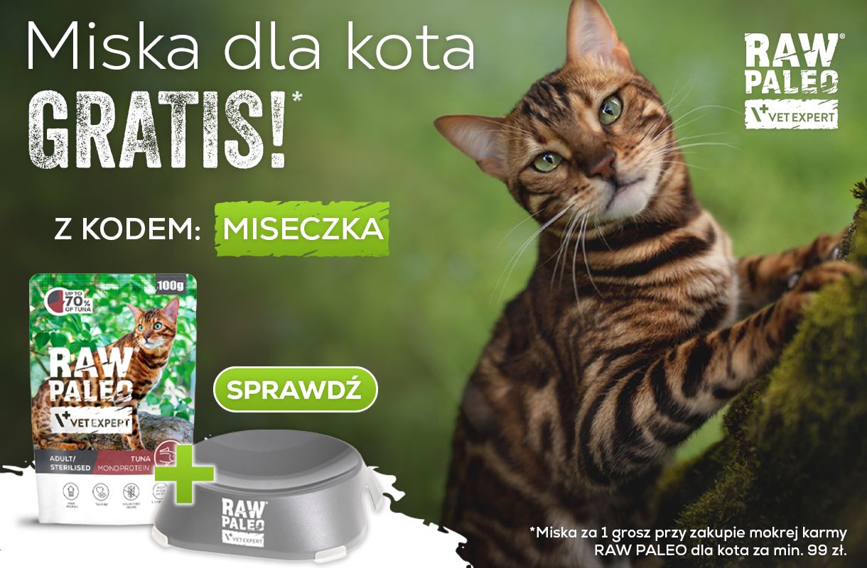 Miska dla kota