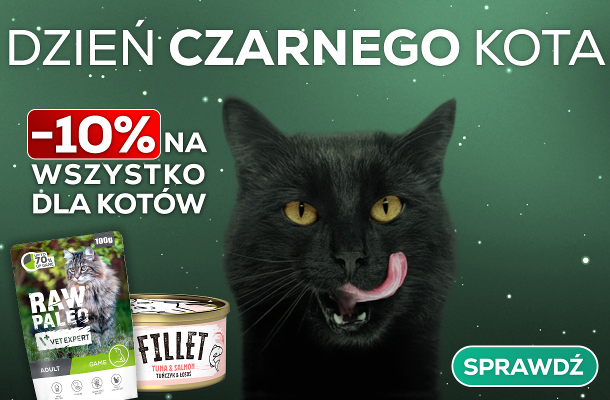Dzień Czarnego Kota
