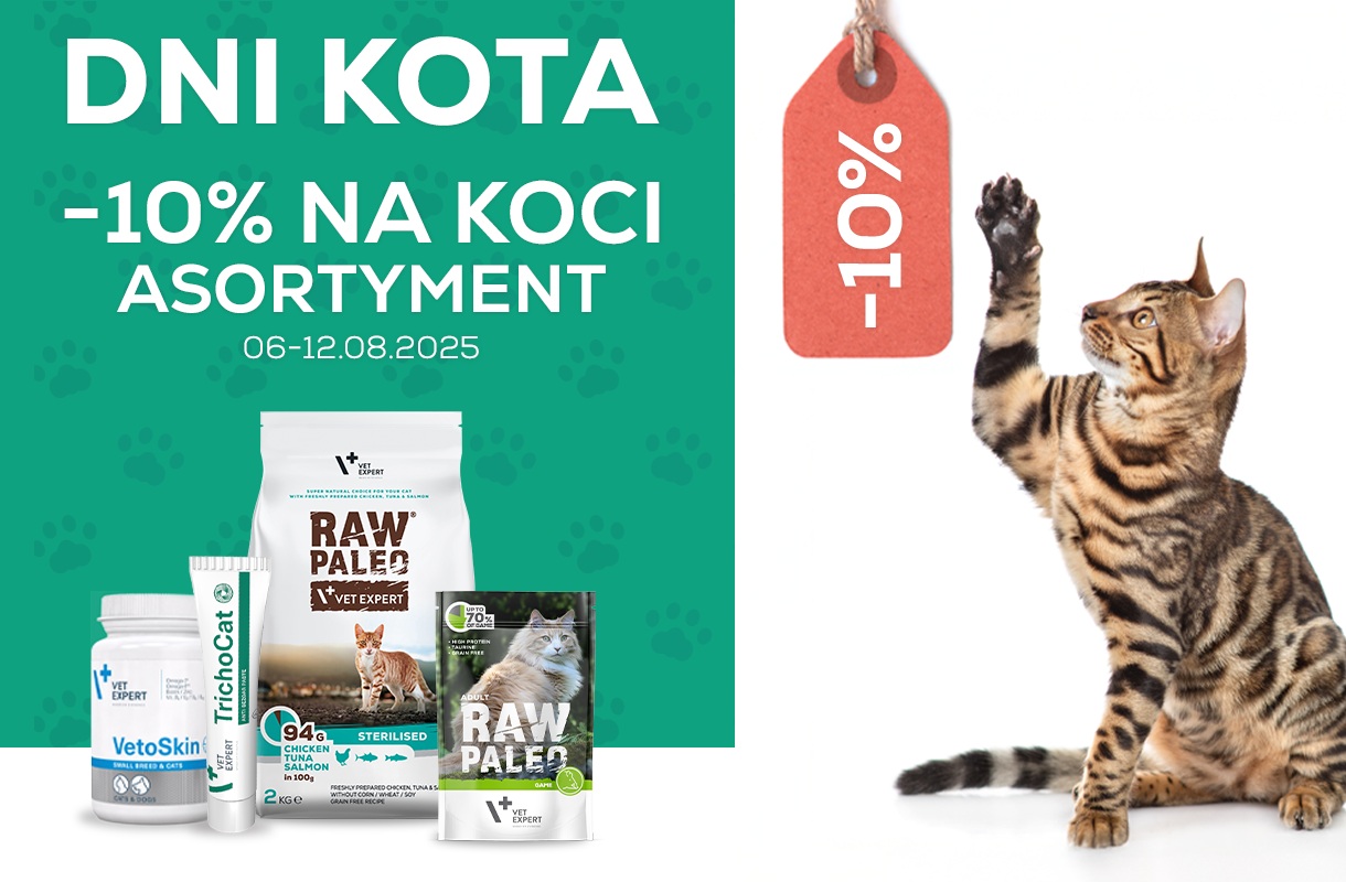 Dni Kota