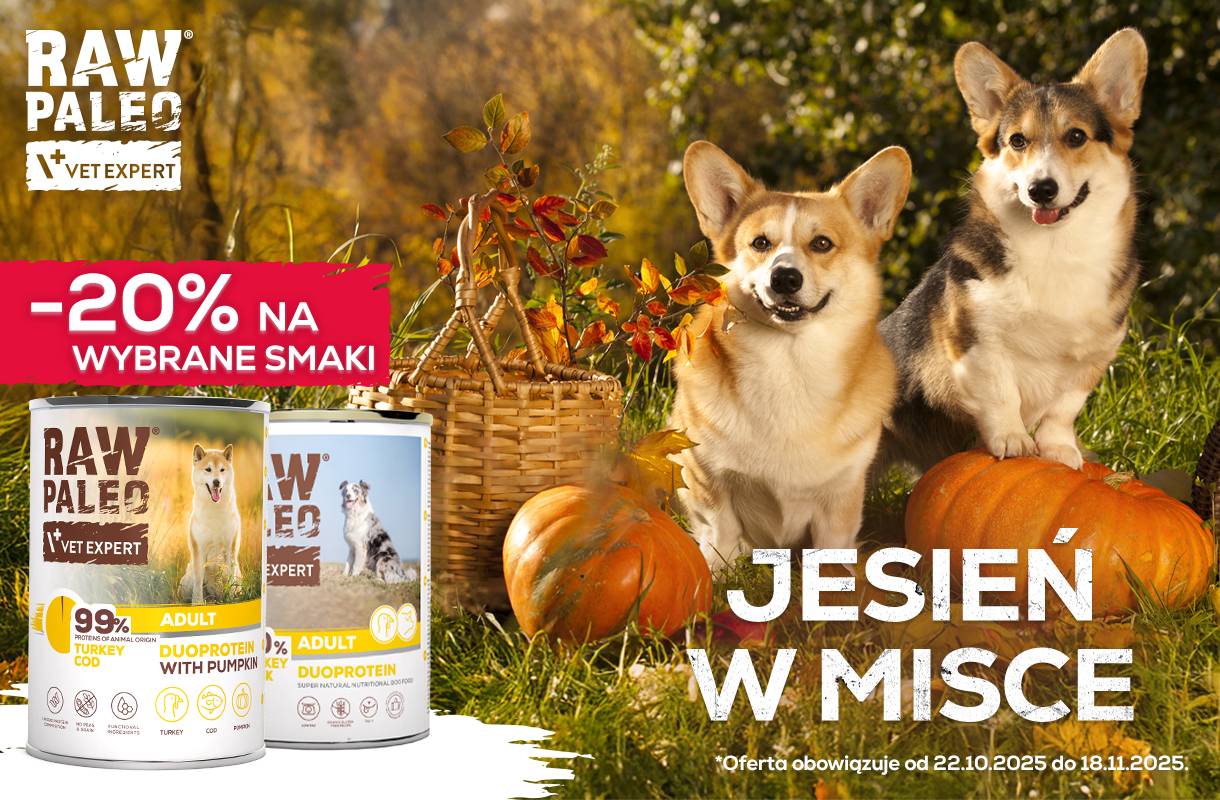 Jesień w misce