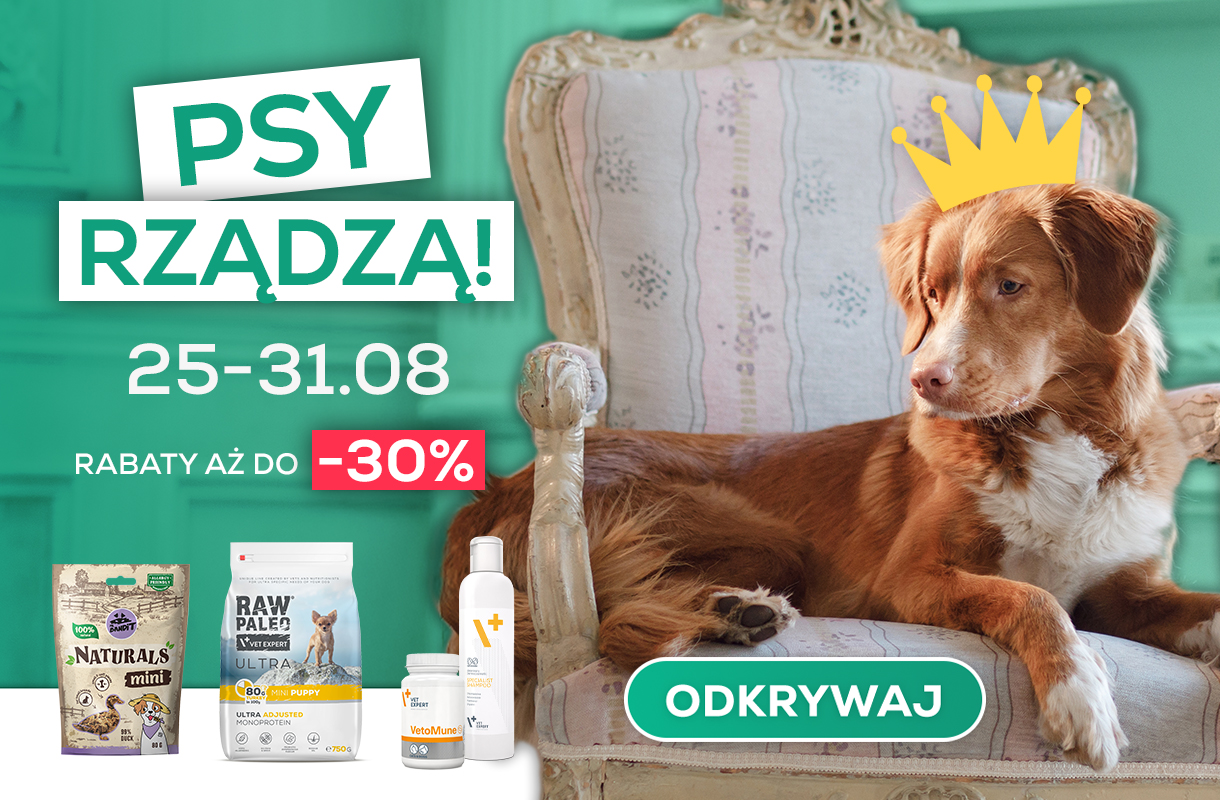 Tydzień Psa