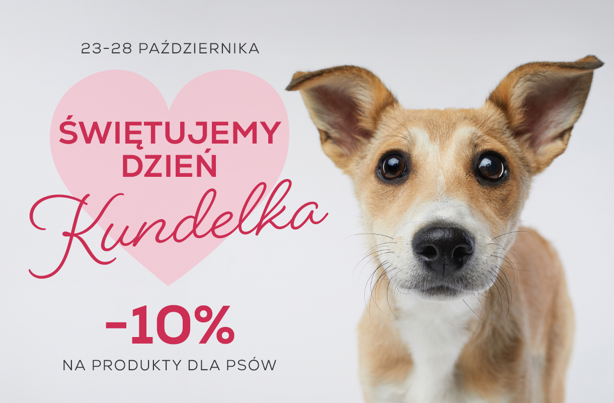 Jesień w misce