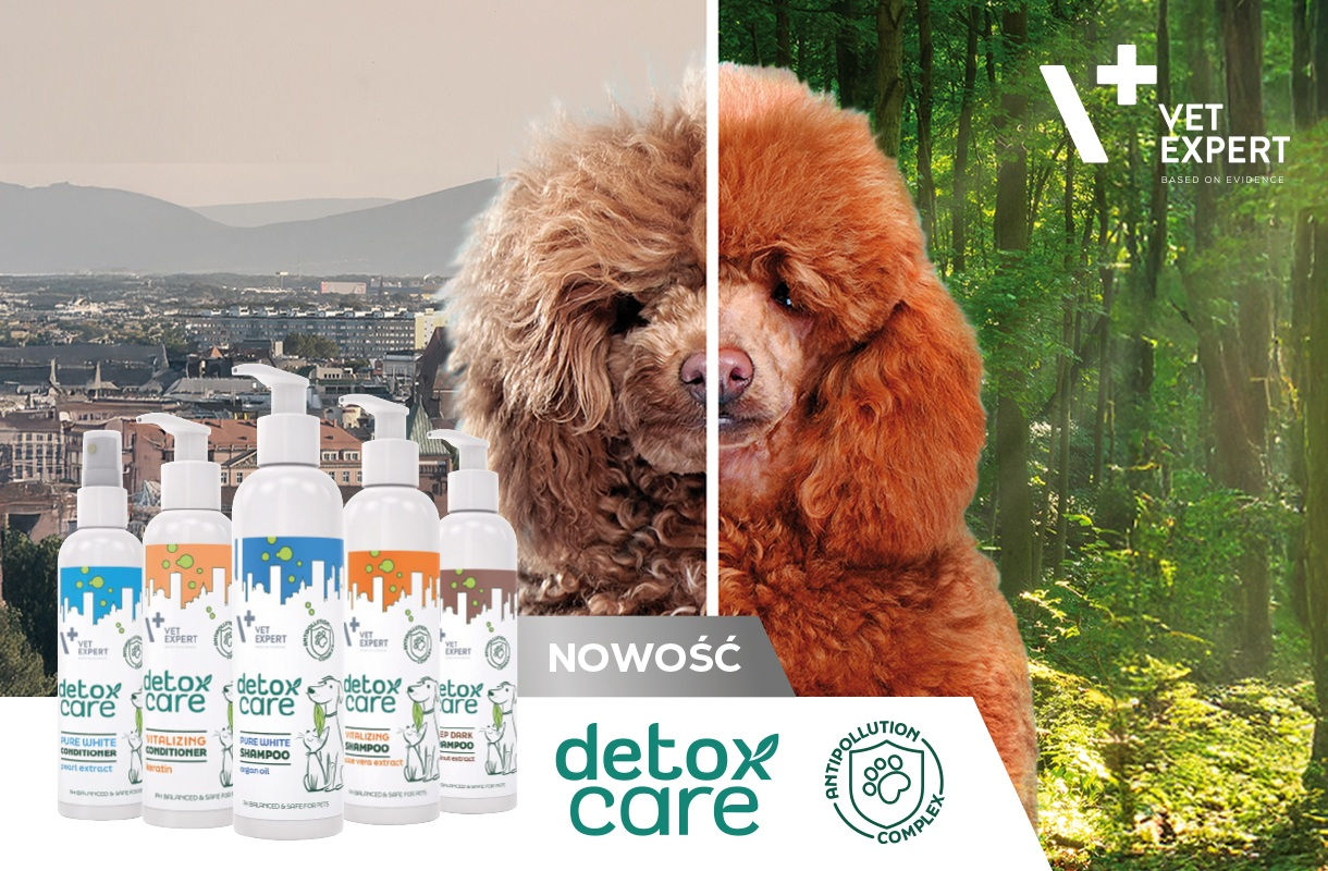 Detox Care