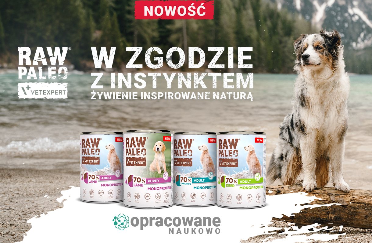 RAW PALEO - nowe smaki