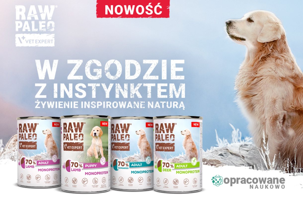 RAW PALEO - nowe smaki