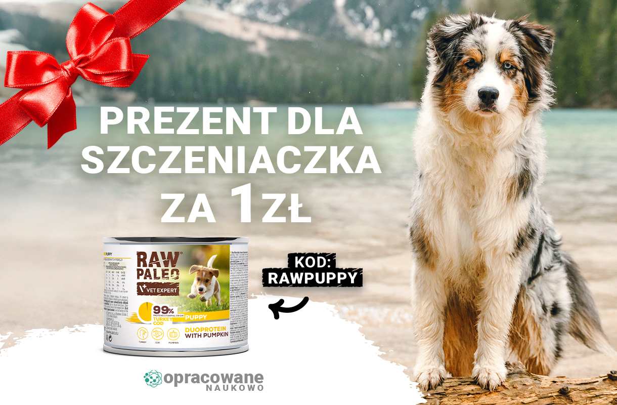 Prezent dla szczeniaczka za 1 zł