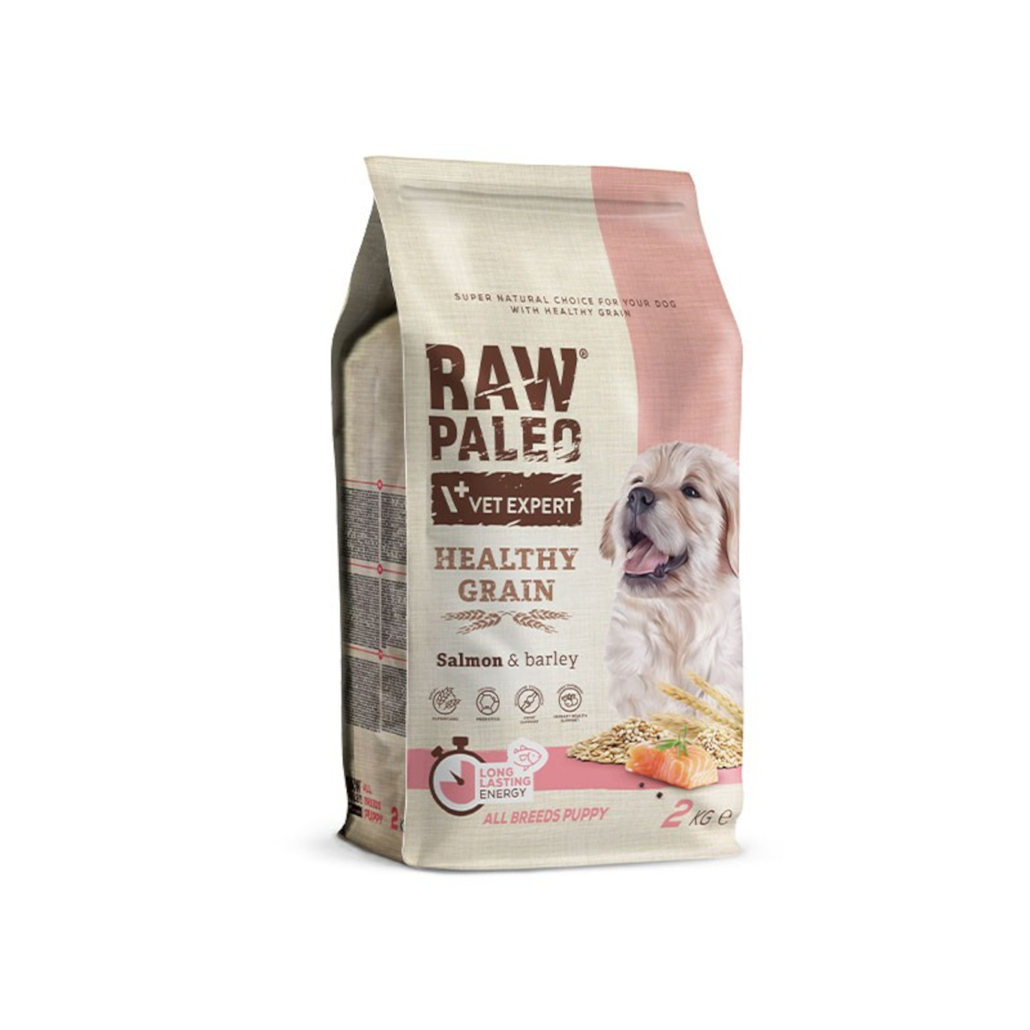 RAW PALEO HEALTHY GRAIN PUPPY SALMON - sucha karma z łososiem dla szczeniąt