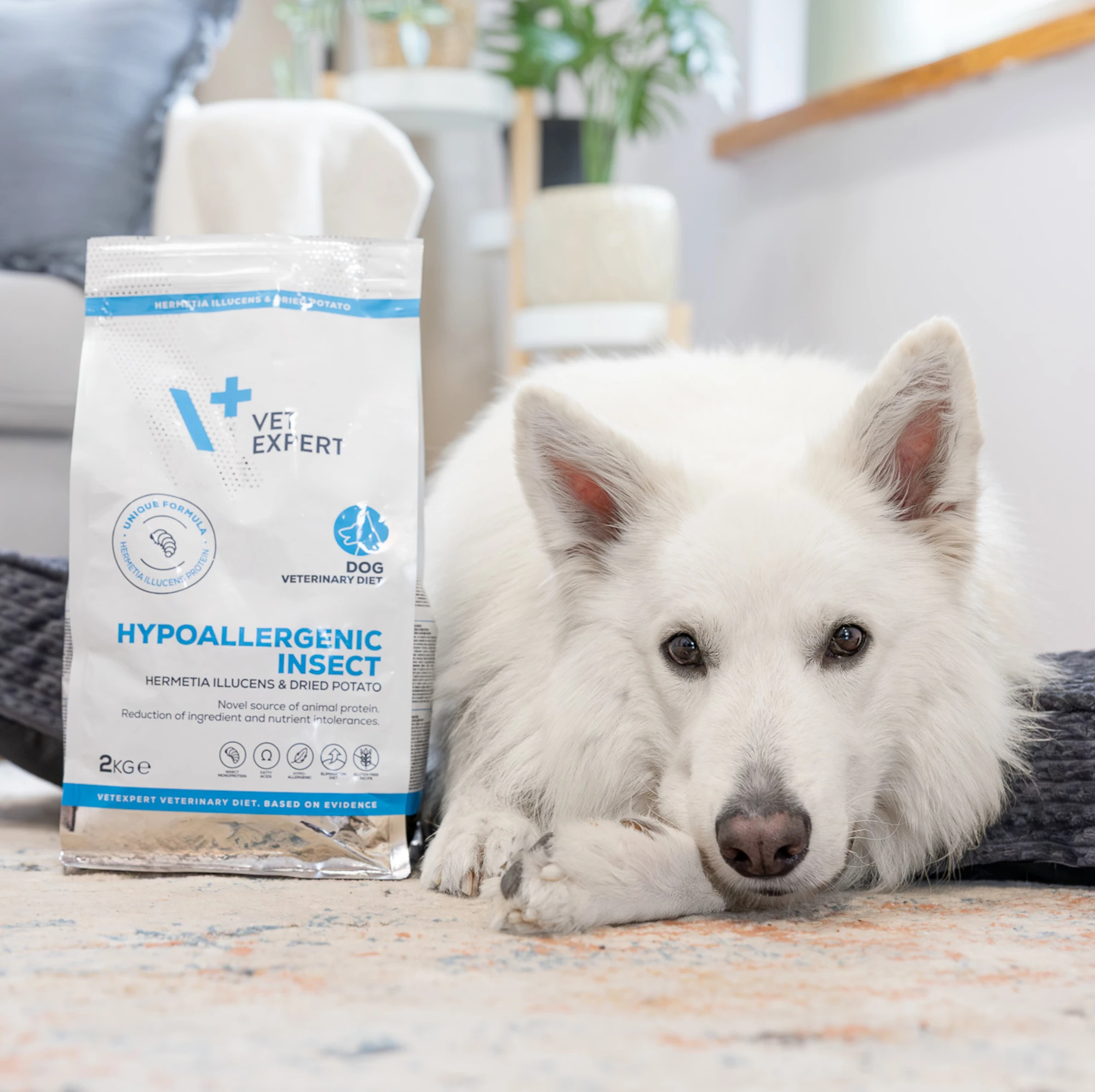 VET EXPERT HYPOALLERGENIC INSECT - sucha karma weterynaryjna dla psów