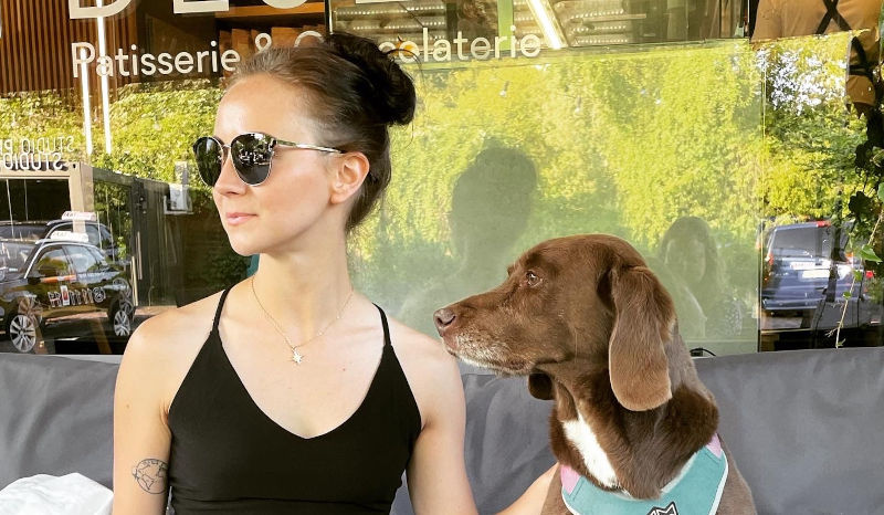 Pies w domu - zalety posiadania psa. Jak się przygotować?