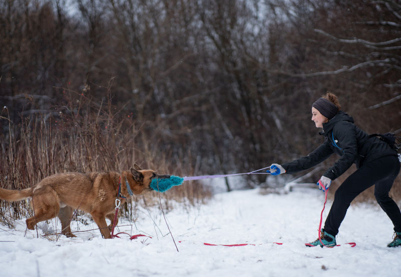 Podstawowe potrzeby psa - co o nich wiesz, jak je zaspokoić?