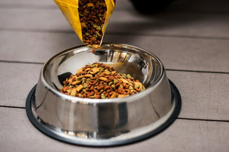 Jak czytać etykiety karmy dla psa - skład i dodatki