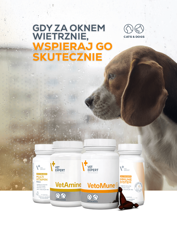 Wsparcie odporności psa