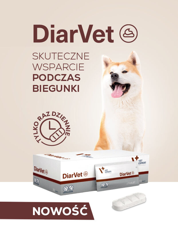 Nowość - DIARVET w formie tabletki