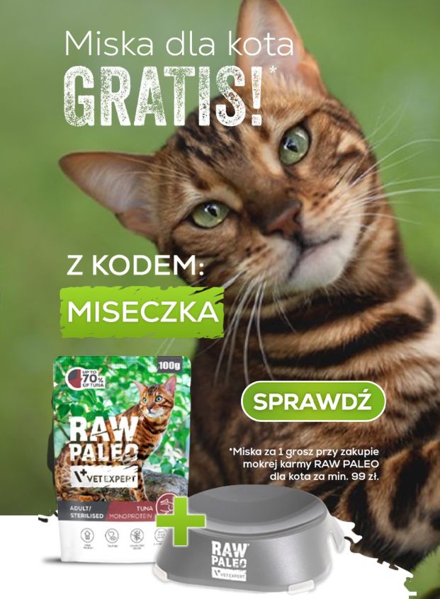 Miska dla kota gratis