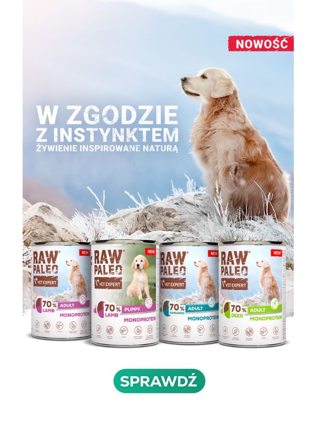 RAW PALEO nowe smaki