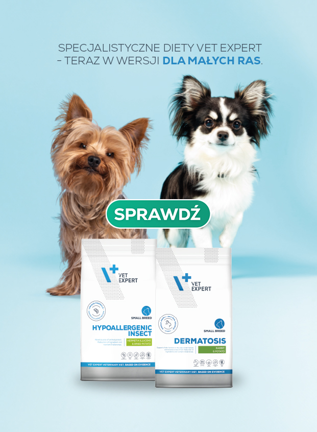 Diety dla małych ras