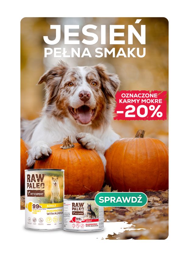 Jesień pełna smaku