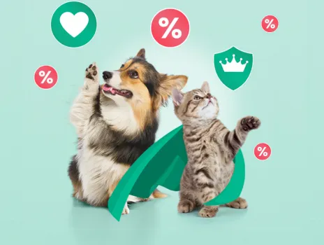 Program lojalnościowy