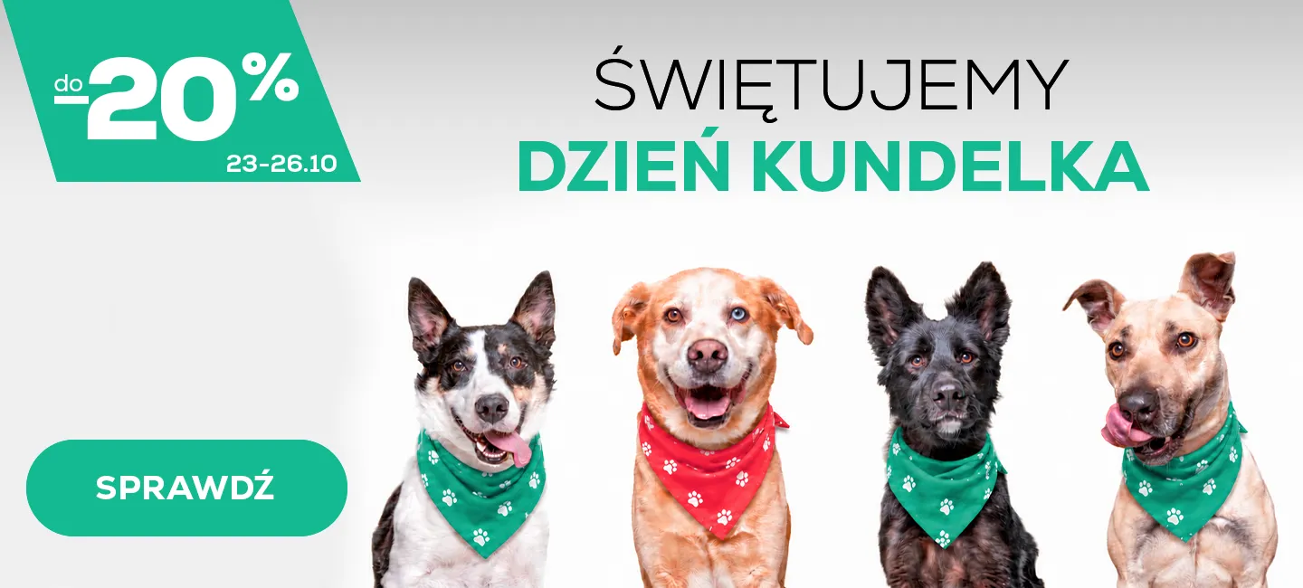 Dzień Kundelka