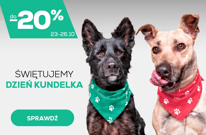 Dzień Kundelka