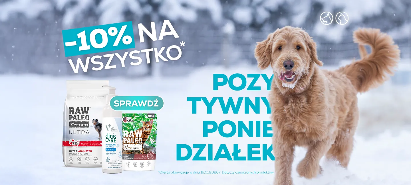 Pozytywny poniedziałek
