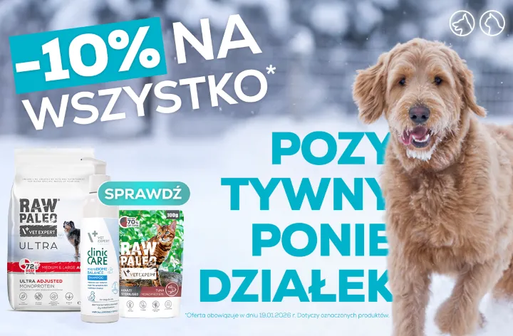 Pozytywny poniedziałek