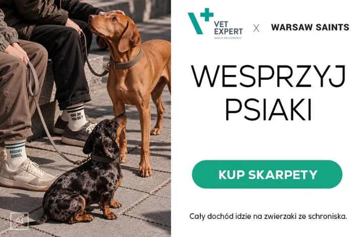 Kolekcja VET EXPERT x Warsaw Saints