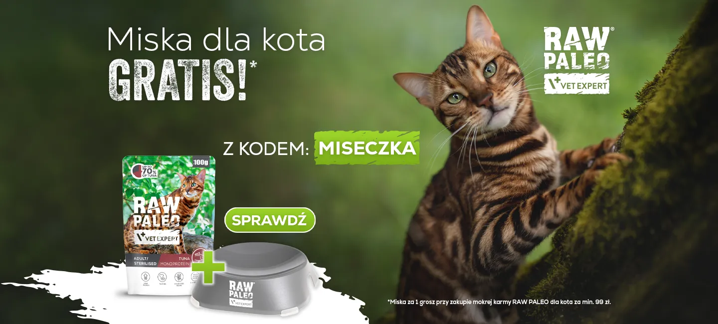 Miska dla kota