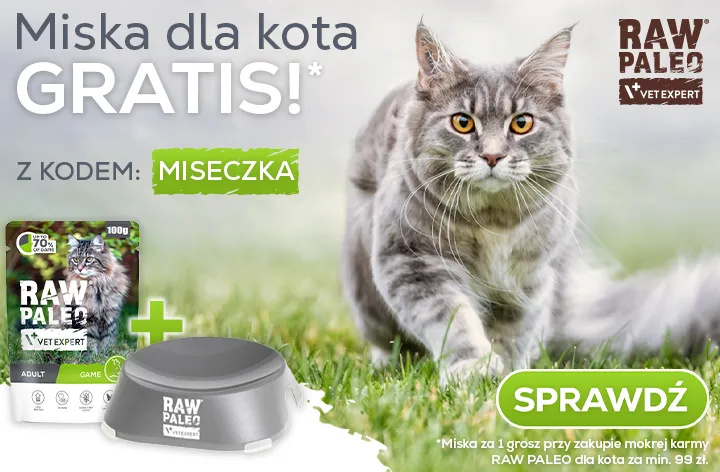 Miska dla kota