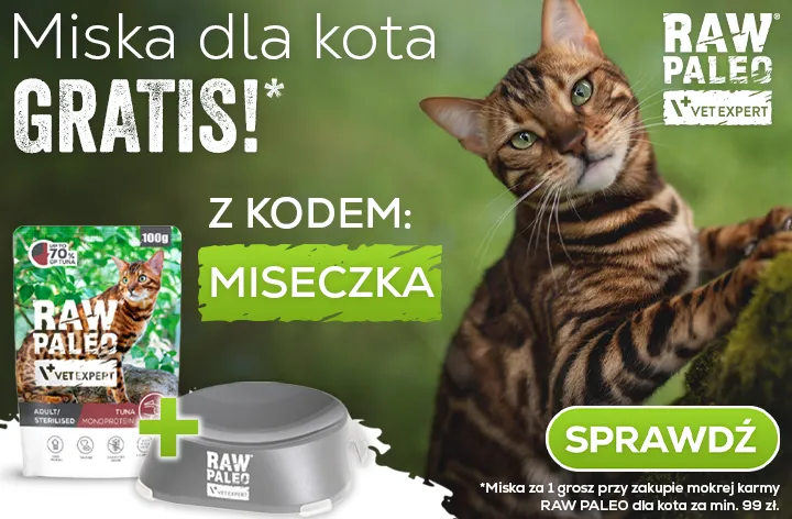 Miska dla kota