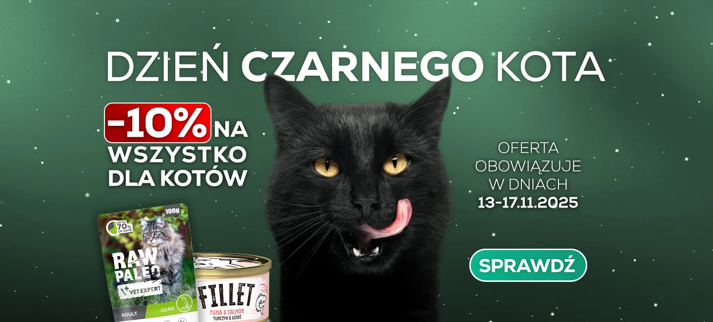 Dzień Czarnego Kota