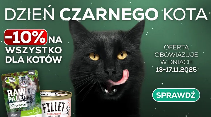 Dzień Czarnego Kota