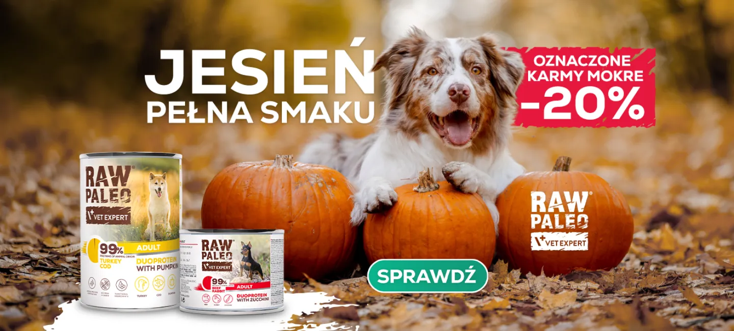 Jesień pełna smaku