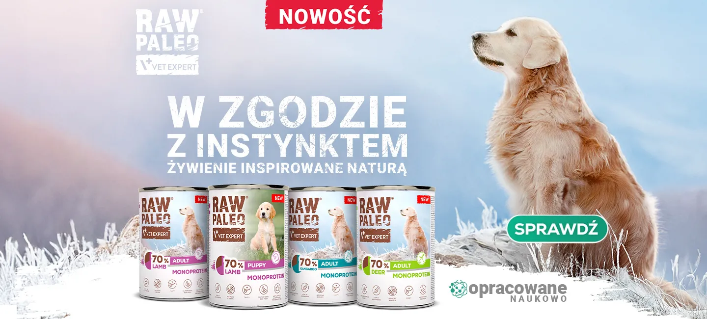 RAW PALEO - nowe smaki
