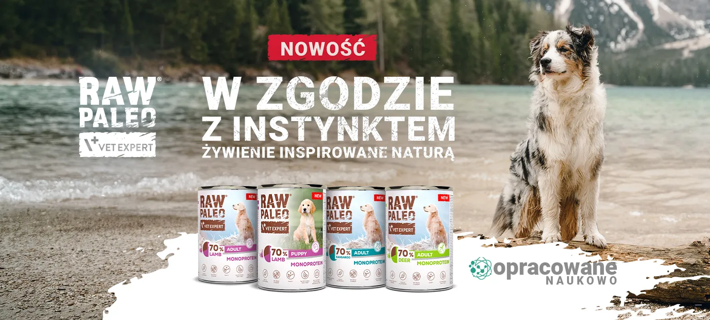 RAW PALEO - nowe smaki