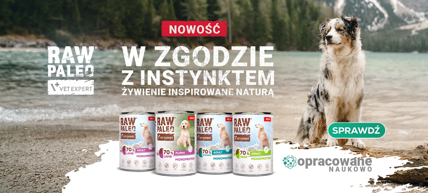 RAW PALEO - nowe smaki