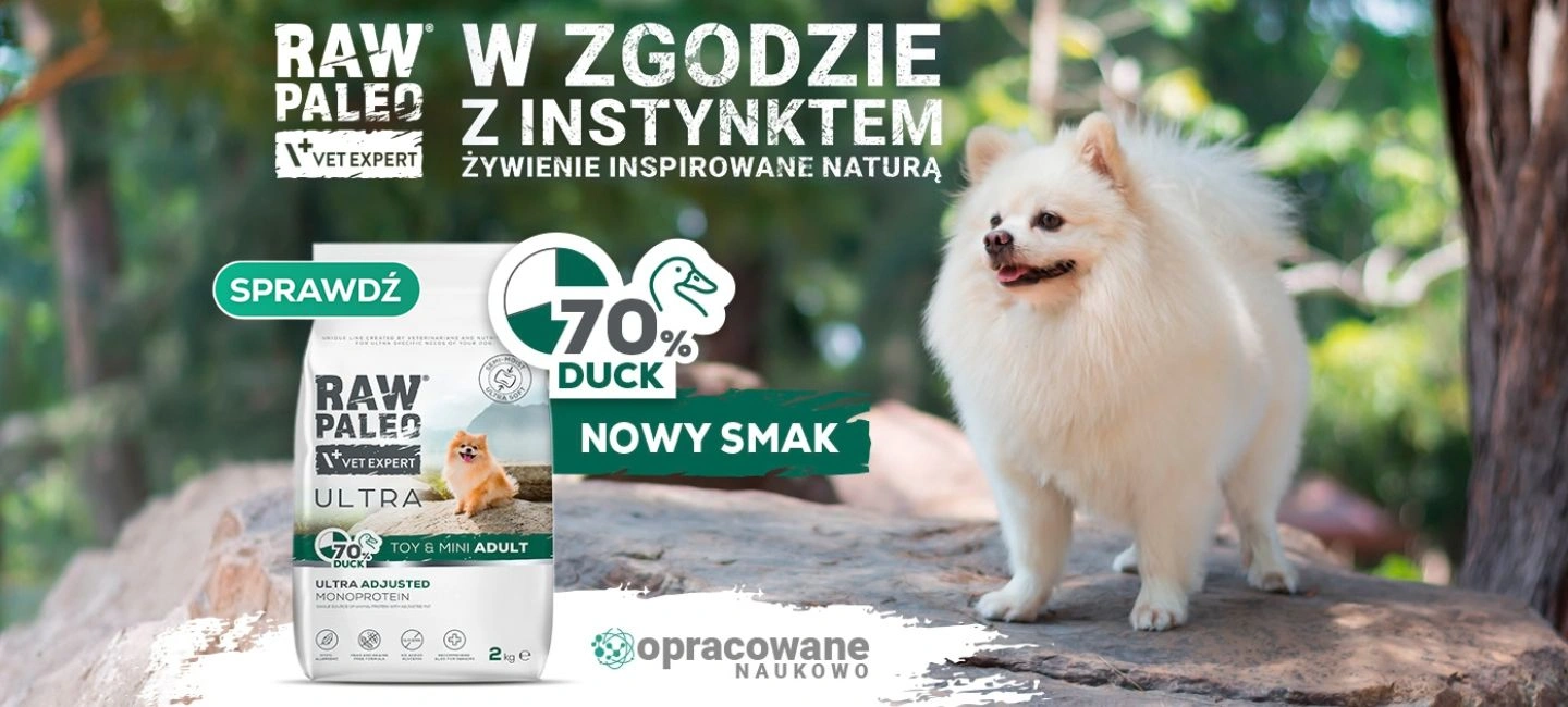 RAW PALEO - nowe smaki
