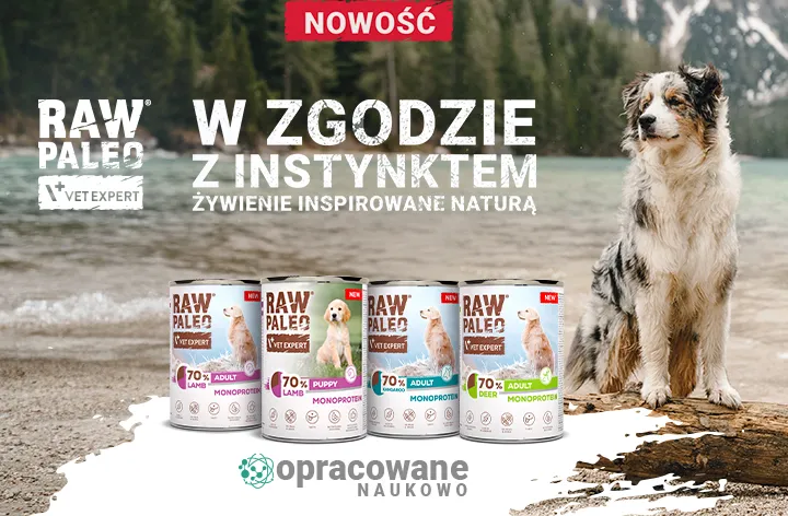 RAW PALEO - nowe smaki