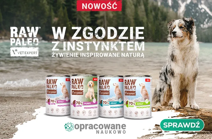 RAW PALEO - nowe smaki